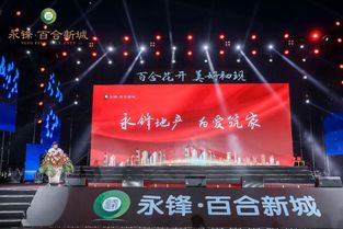 永鋒 百合新城產品發布會暨龐龍演唱會成功舉辦,啟幕武城